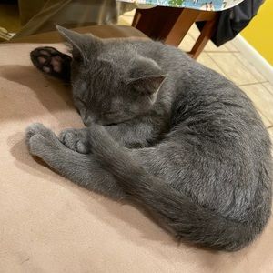 Meet your Posher, Jared